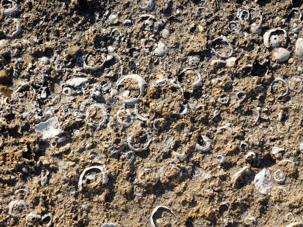 Textura de piedra cerca del mar —  Fotos de Stock