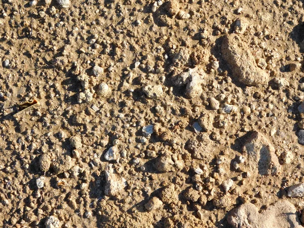 Textura arena en la orilla del mar —  Fotos de Stock