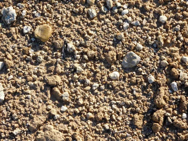 海岸で砂のテクスチャ — ストック写真