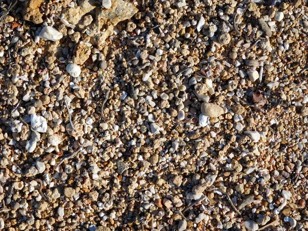 Textura de pedra no jardim — Fotografia de Stock