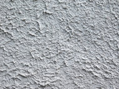 duvar açık havada bahçe