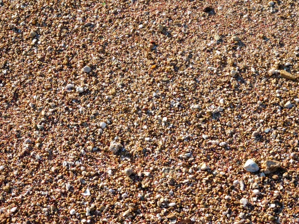 ทรายบนชายฝั่ง — ภาพถ่ายสต็อก