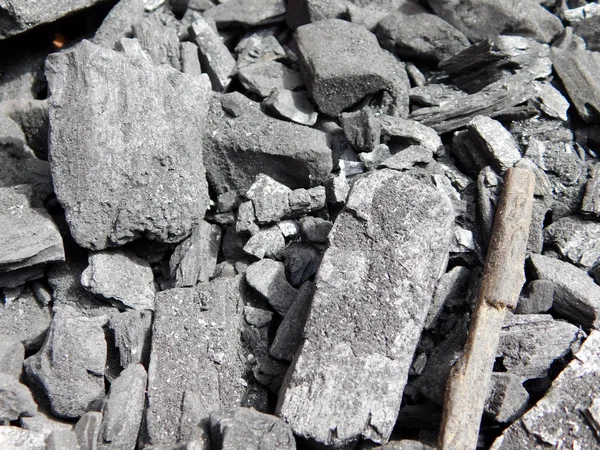 정원에서 석탄 — 스톡 사진