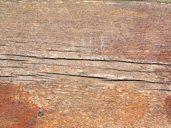 Деревянная текстура в саду — стоковое фото