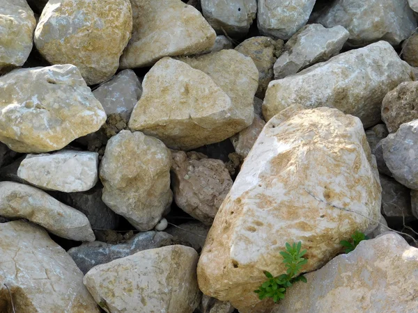 Piedras y rocas en el jardín — Foto de Stock