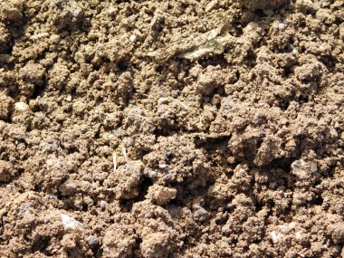 açık havada bahçede yer