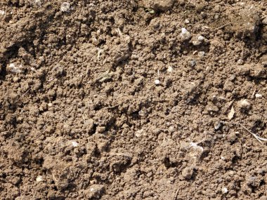 açık havada bahçede yer