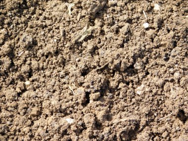 açık havada bahçede yer