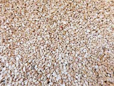 bahçede açık taş