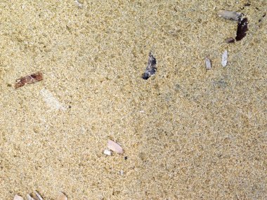 açık havada denizde kumlu doku