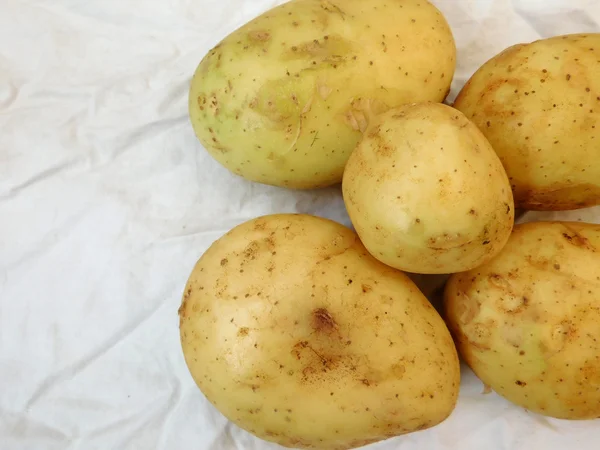 Patatas en el jardín — Foto de Stock