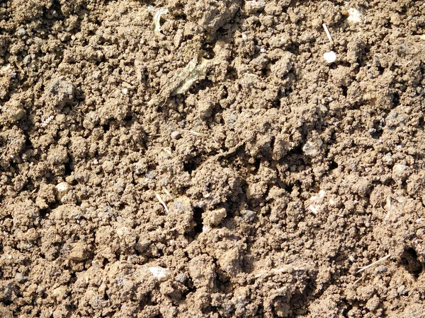 açık havada bahçede yer