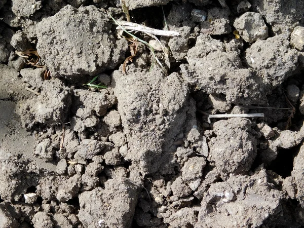 Buiten de grond in de tuin — Stockfoto