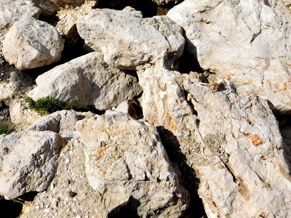 Steine und Felsen im Garten — Stockfoto