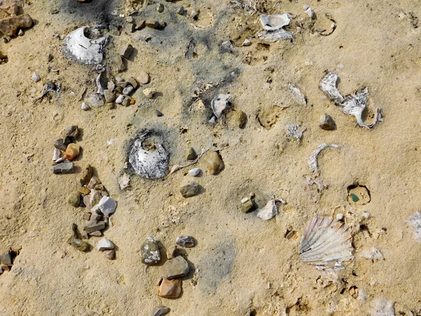 Kameny a skály do moře — Stock fotografie