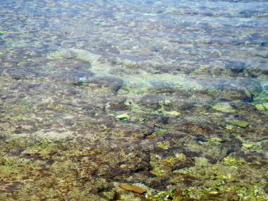 Deniz ve gün boyunca dalgalar