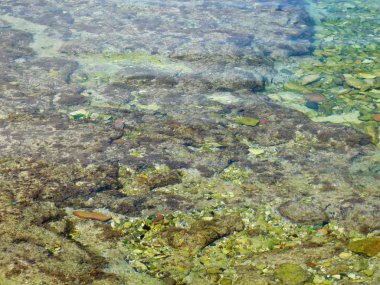 Deniz ve gün boyunca dalgalar