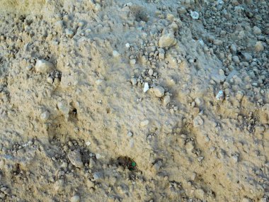 Bahçedeki zemin dokusuna