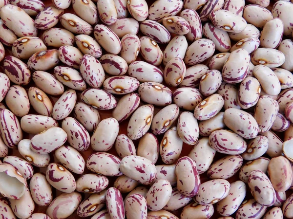 Beans to eat in the kitchen — Stock Photo, Image