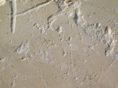 taş açık bahçe dokusuna