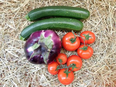 açık havada yemek için sebze