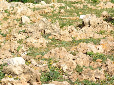 taşlar ve kayalar açık havada