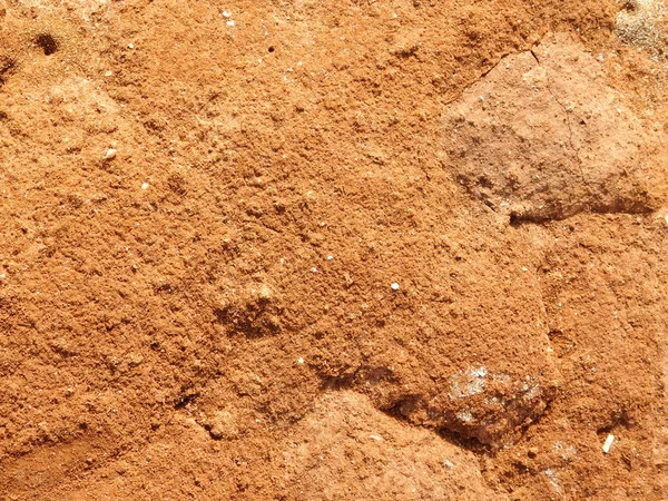 doku arazi bahçe içinde