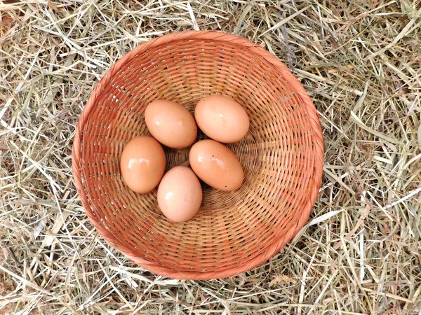 Jaja do jedzenia w ogrodzie — Zdjęcie stockowe