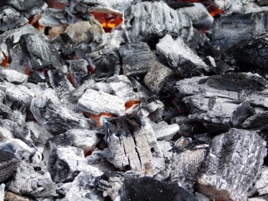 bahçede açık kömür