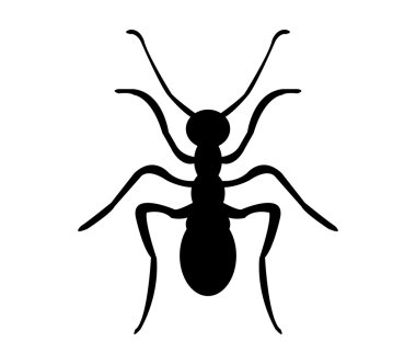 Beyaz arka plan üzerinde karınca simgesi