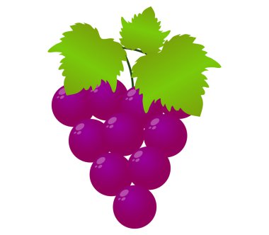 Beyaz bir arka plan üzerinde resimli üzüm