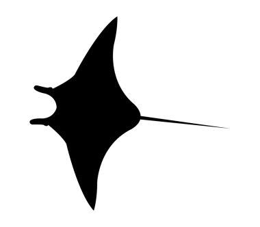 Beyaz bir arka plan üzerinde resimli manta hayvan