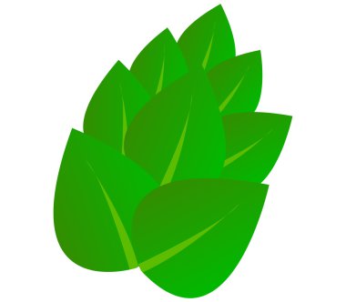 Foglie su sfondo bianco