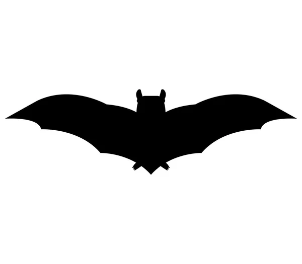 Bat on a white background — Stock Photo, Image