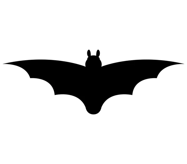 Pipistrello su uno sfondo bianco — Foto Stock