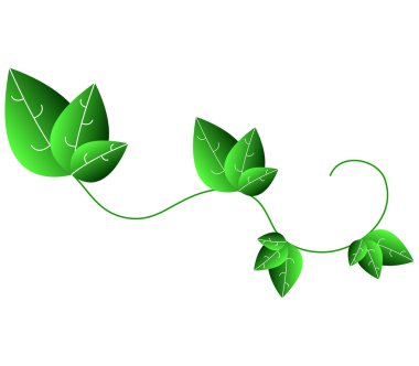 Beyaz arkaplanda bırakır