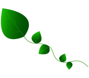 Beyaz arkaplanda bırakır