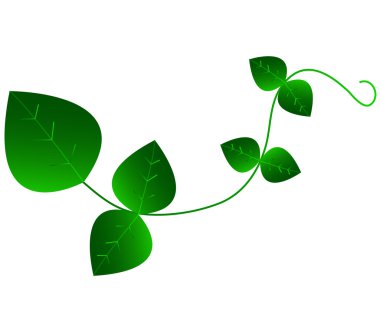 Beyaz arkaplanda bırakır