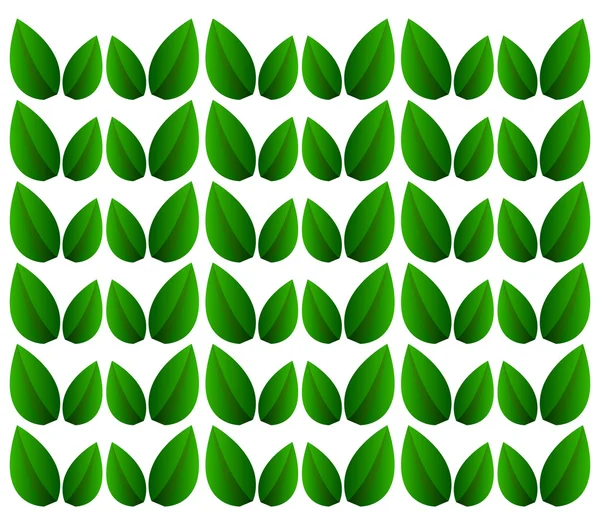 Beyaz arkaplanda bırakır