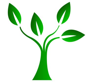 Beyaz arkaplanda ağaç