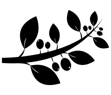 beyaz zemin üzerine zeytin