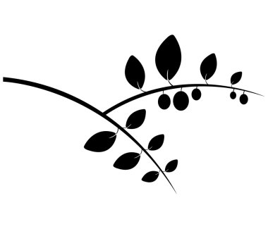 beyaz zemin üzerine zeytin