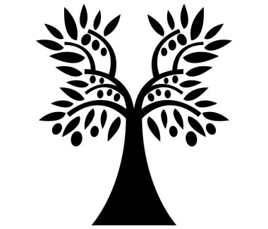 beyaz zemin üzerine zeytin