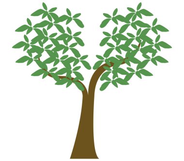 Beyaz arkaplanda ağaç