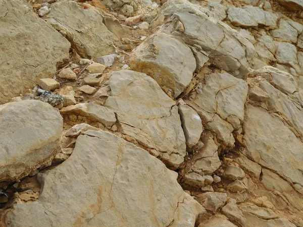 田舎で野外岩石 — ストック写真