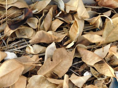 Açık havada kırsal kesimde bırakır