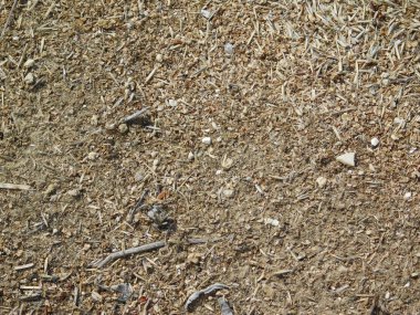 toprak ve kum açık kampanya