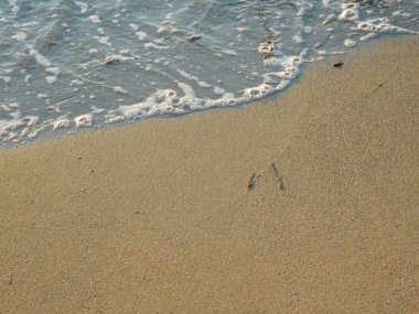 dalgalar deniz ve plaj açık havada