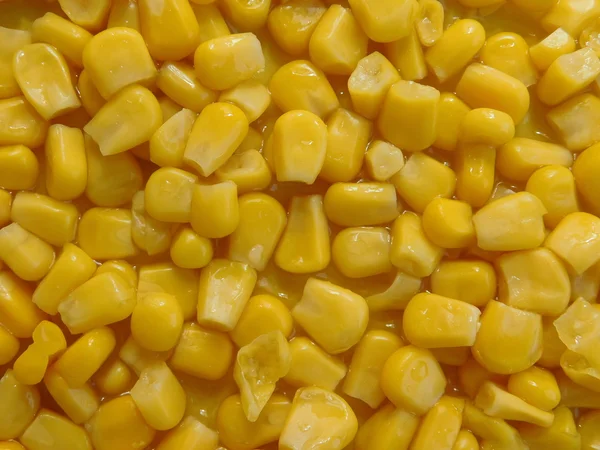 Kukurydza jeść w kuchni — Zdjęcie stockowe