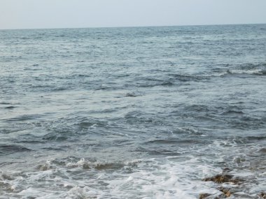 dalgalar deniz ve plaj açık havada